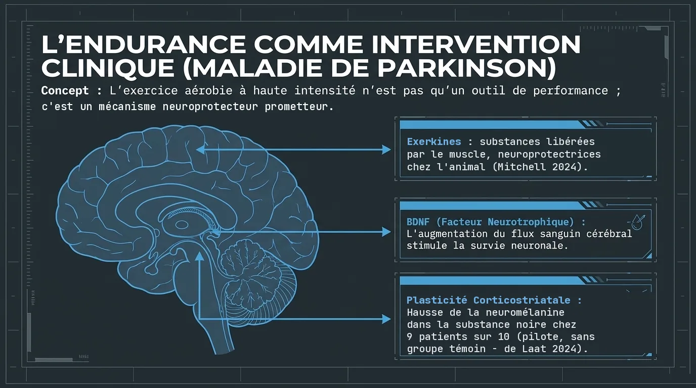 L'endurance comme intervention clinique dans la maladie de Parkinson